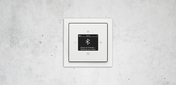 Busch-Radio Btconnect bei Elektro Langguth e. K. in Itzgrund